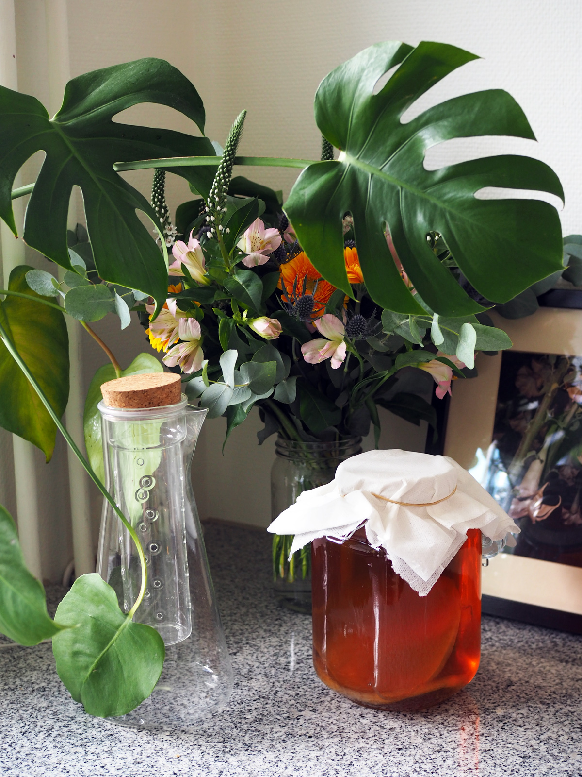 kombucha