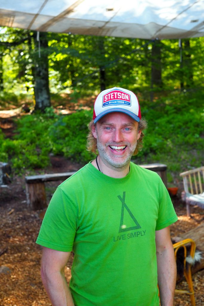 stedsans in the woods
